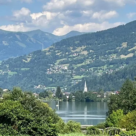 Steinwender Elisabeth Daire