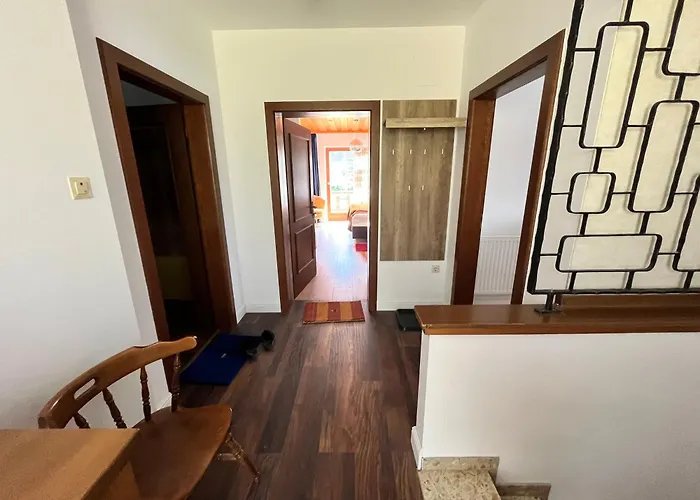 Steinwender Elisabeth